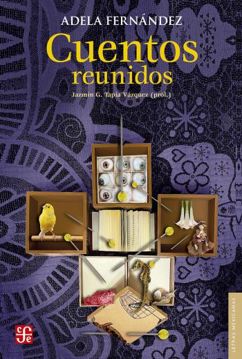 descargar Cuentos reunidos - Adela Fernández