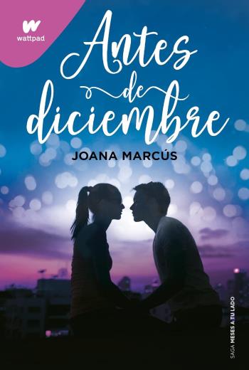 descargar Antes de diciembre - Joana Marcús