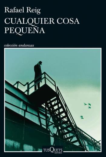 descargar Cualquier cosa pequeña - Rafael Reig