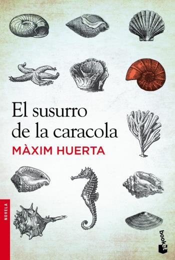 descargar El susurro de la caracola - Màxim Huerta