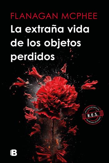 descargar La extraña vida de los objetos perdidos - Flanagan McPhee
