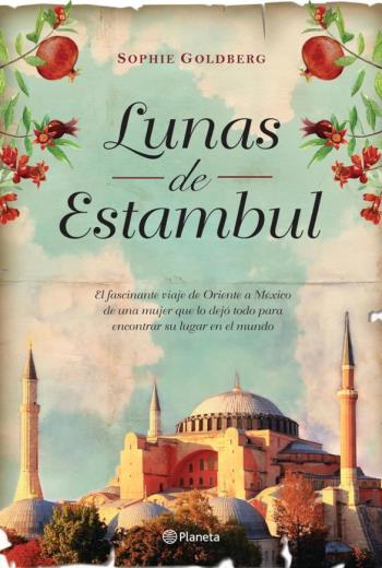 descargar Lunas de Estambul - Sophie Goldberg